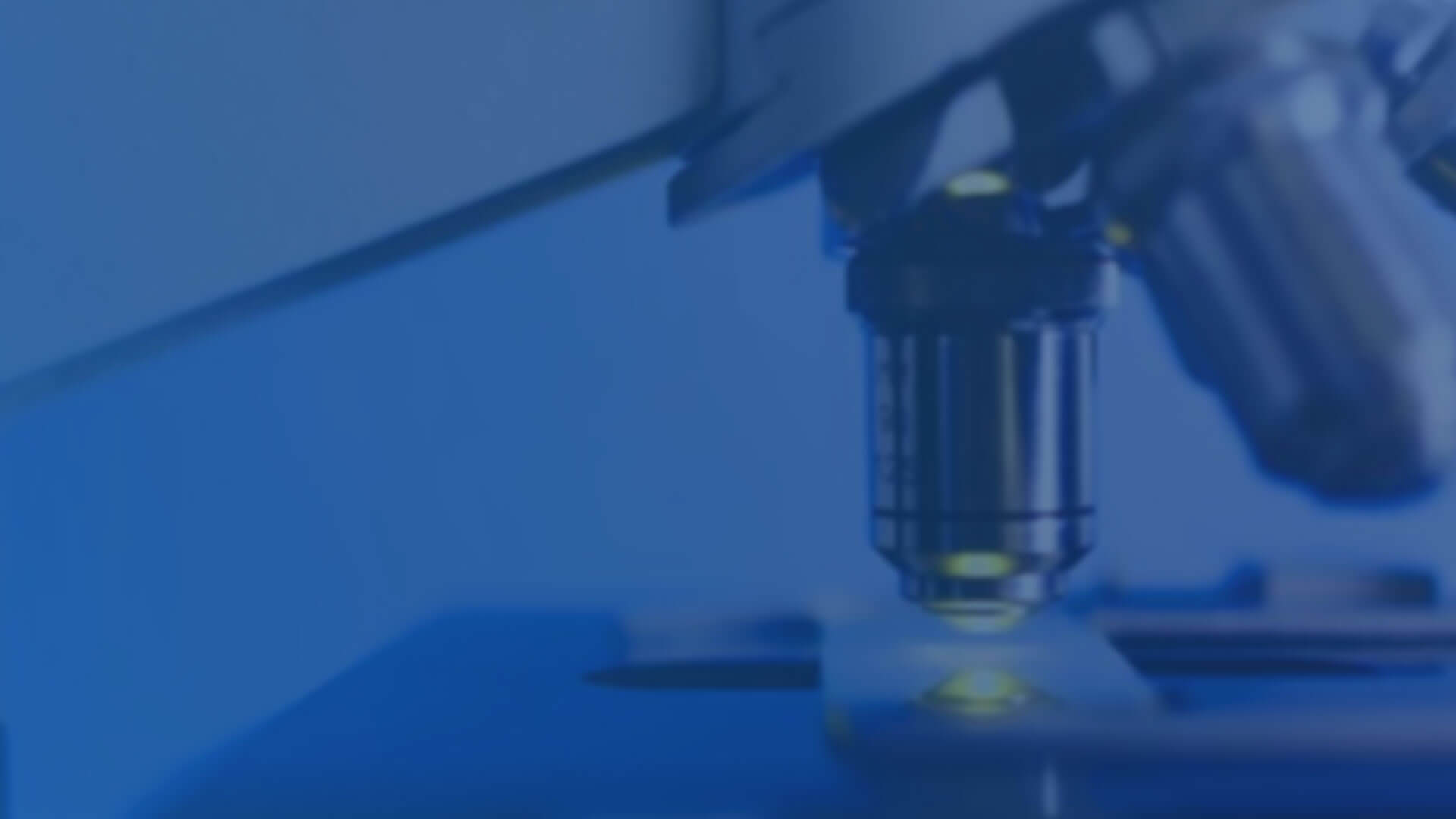 虚拟课程背景图